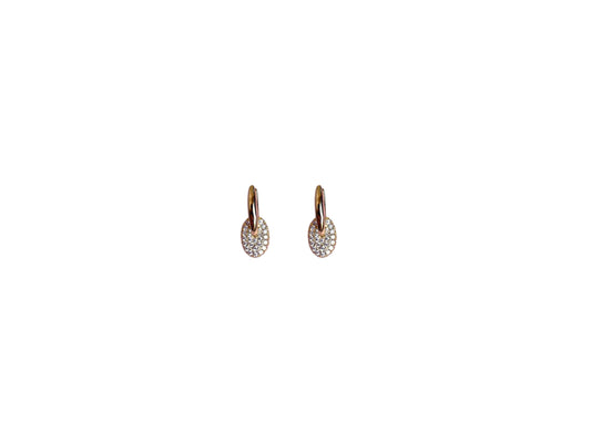 ZOE OVAL HOOPS