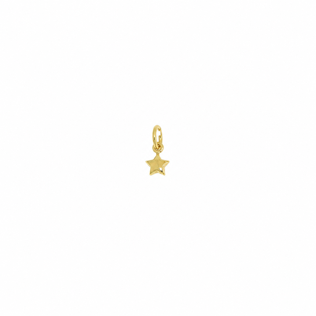MICRO STAR PENDANT