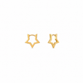STARS HOOPS ORO/ARGENTO
