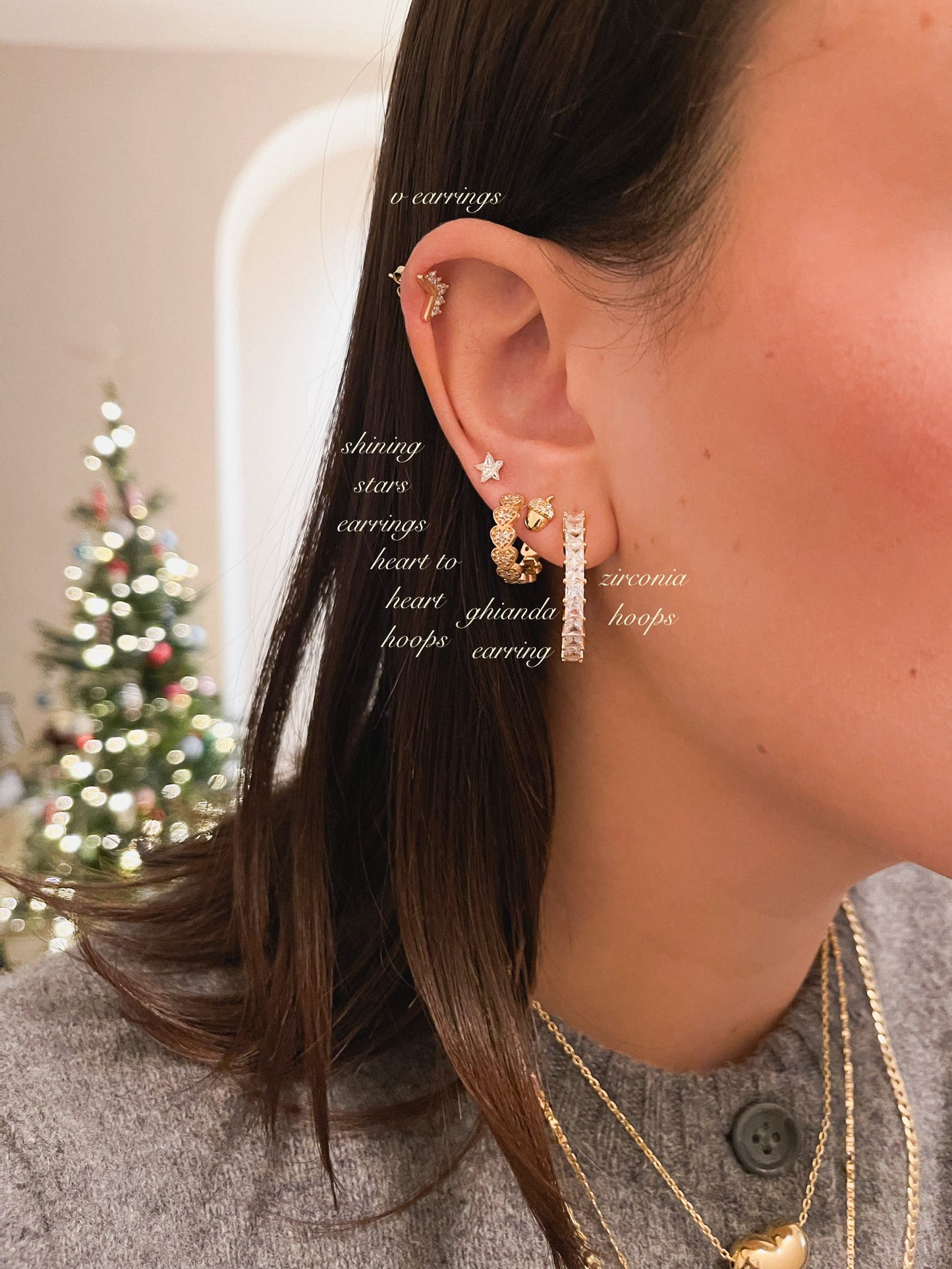 ZIRCONIA HOOPS ORO/ARGENTO