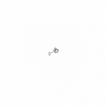 MICRO STAR EARRING