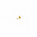 MICRO STAR EARRING