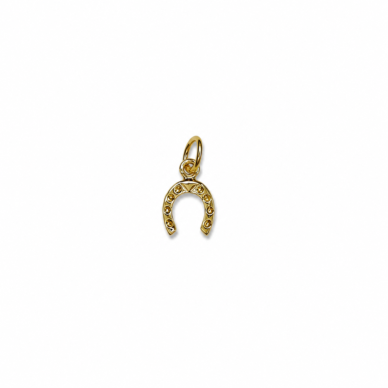 LUCKY CHARM PENDANT ORO/ARGENTO PRE-ORDINE